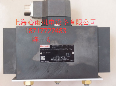 ��ʿ���ŷ��y4WSE3EE16-1X/300B8-315K9DV